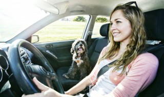 老款奥迪a6仪表盘怎么设置温度 奥迪a6车内温度显示怎么开关