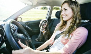 老奥迪a6l水温传感器在哪 老款奥迪a6水温传感器在哪呢