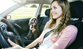 奥迪q5手机充电示意图 奥迪q5电瓶充电方法图