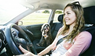 奥迪a4l随车工具箱 新款奥迪a4l的随车工具在哪