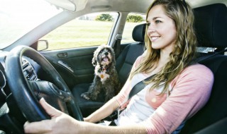 奥迪q7转向灯保险在哪在哪里 16款奥迪q7方向调节保险在哪