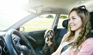 奥迪a4的空调怎么用 奥迪a4l的空调使用方法