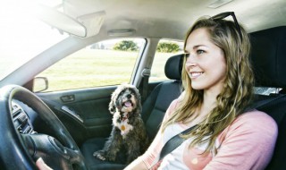 奥迪q5l怎么打开后备箱 奥迪q5l如何在车内打开后备箱