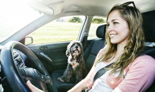 奥迪a4l空调出风怎么开 奥迪a4l如何检查空调通风管道