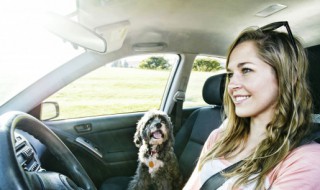 奥迪a6自动收反光镜 08款奥迪如何收反光镜