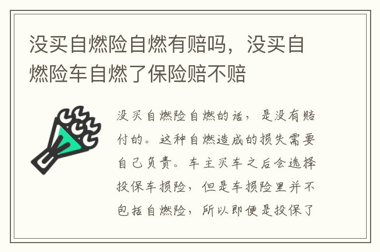 没买自燃险车自燃了保险赔不赔 没买自燃险自燃有赔吗