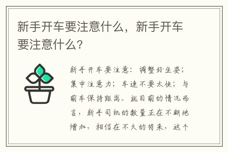 新手开车要注意什么 新手开车要注意什么