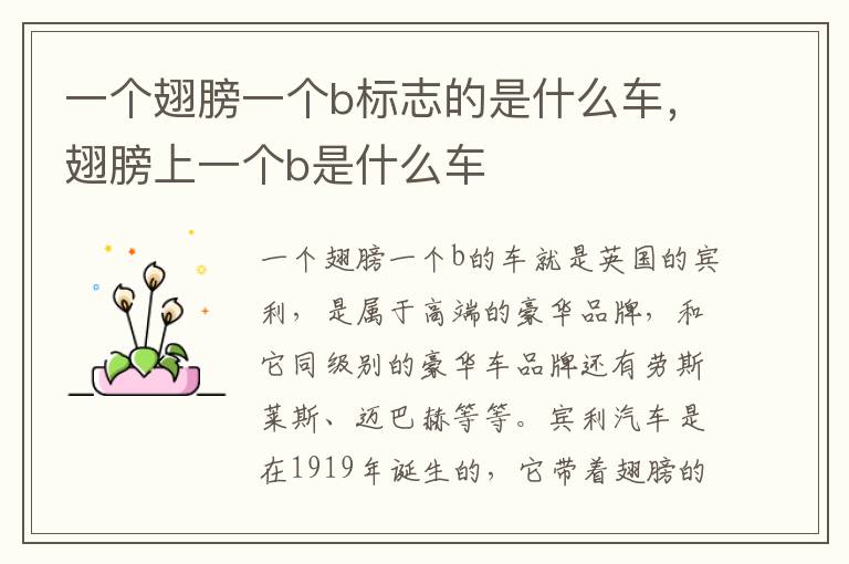 翅膀上一个b是什么车 一个翅膀一个b标志的是什么车