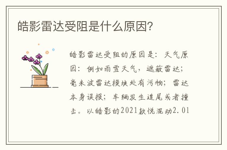 皓影雷达受阻是什么原因 皓影雷达受阻是什么原因
