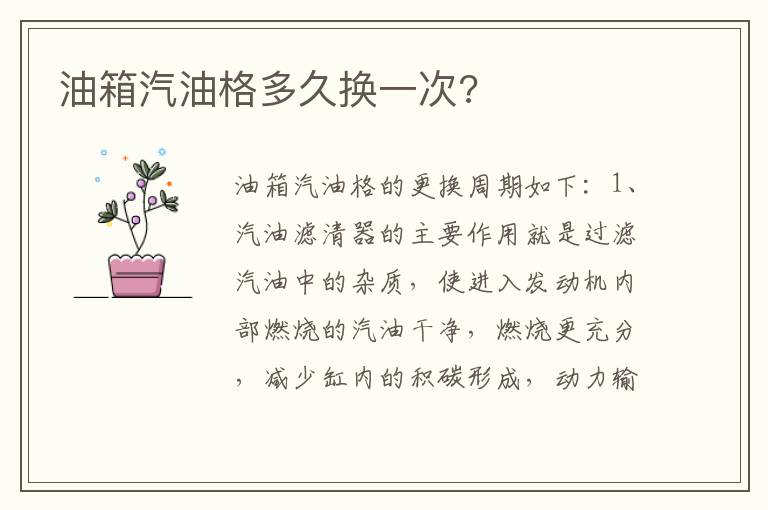 油箱汽油格多久换一次 油箱汽油格多久换一次