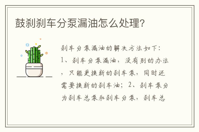 鼓刹刹车分泵漏油怎么处理 鼓刹刹车分泵漏油怎么处理