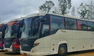 A2证可不可以开大客车 A2证能开大客车吗