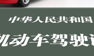 上海哪些地方可以考B2驾驶证 上海哪里可以考B2驾驶证