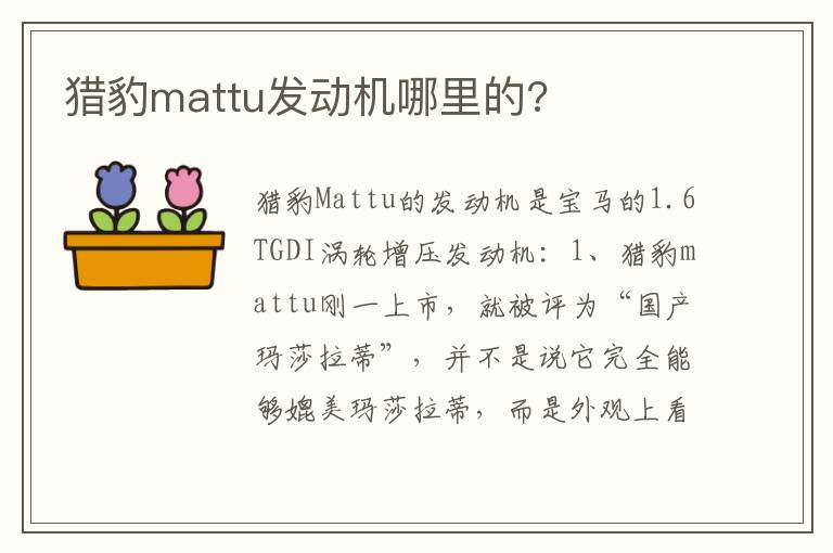 猎豹mattu发动机哪里的 猎豹mattu发动机哪里的