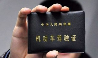 c1f是哪种驾照 c1f是什么驾照