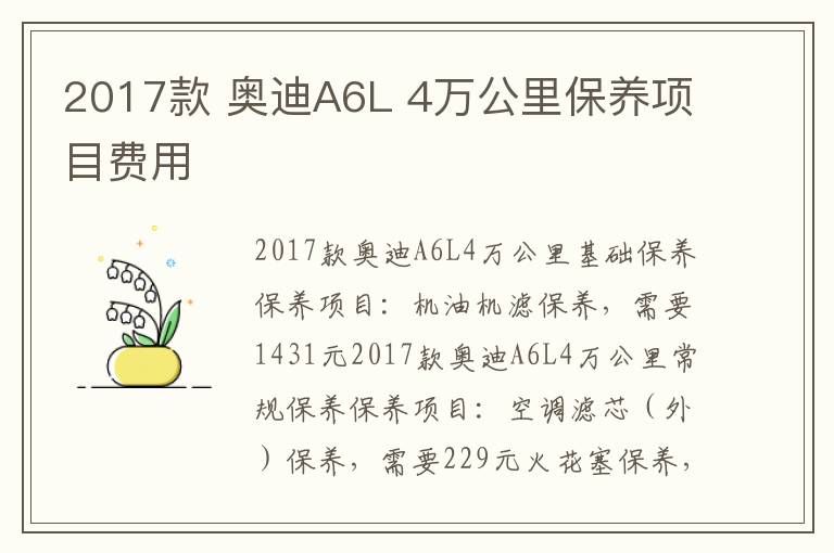 奥迪A6L 4万公里保养项目费用 2017款