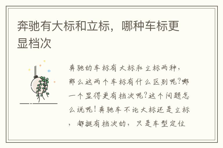哪种车标更显档次 奔驰有大标和立标