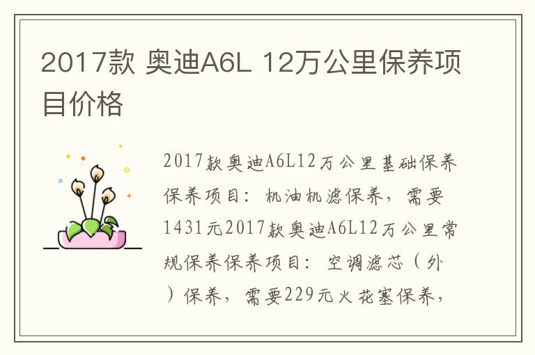 奥迪A6L 12万公里保养项目价格 2017款