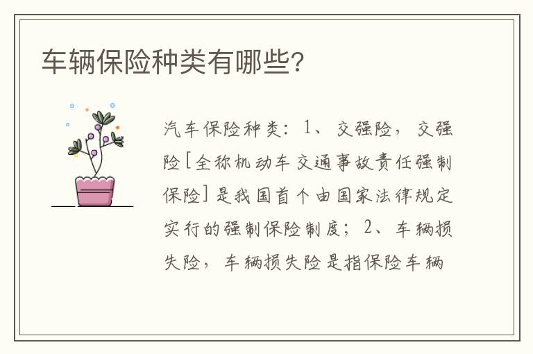 车辆保险种类有哪些 车辆保险种类有哪些