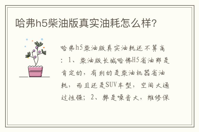 哈弗h5柴油版真实油耗怎么样 哈弗h5柴油版真实油耗怎么样