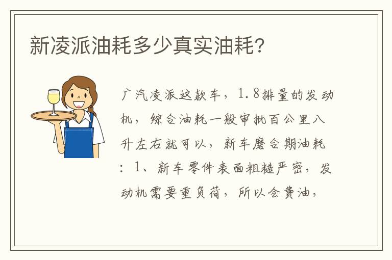 新凌派油耗多少真实油耗 新凌派油耗多少真实油耗