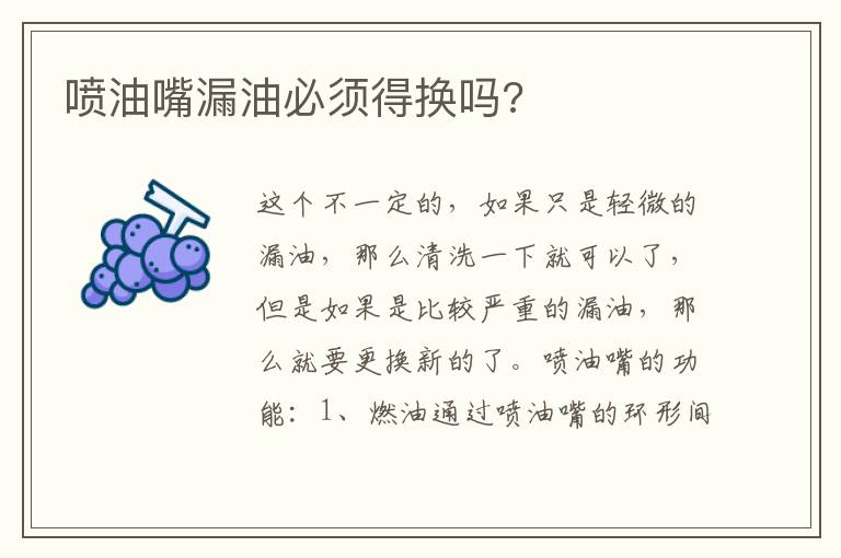 喷油嘴漏油必须得换吗 喷油嘴漏油必须得换吗