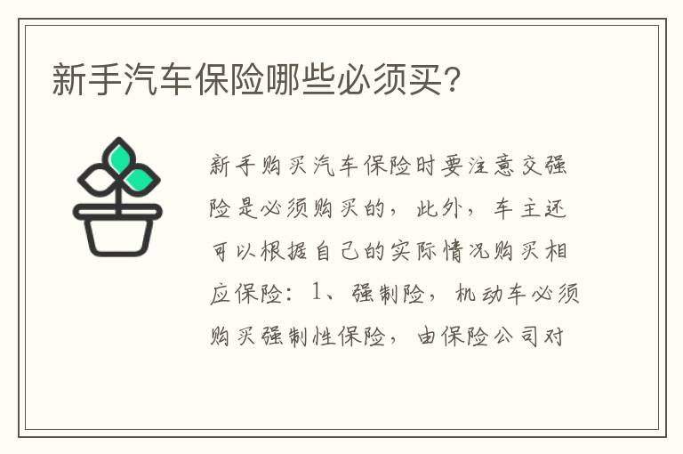 新手汽车保险哪些必须买 新手汽车保险哪些必须买