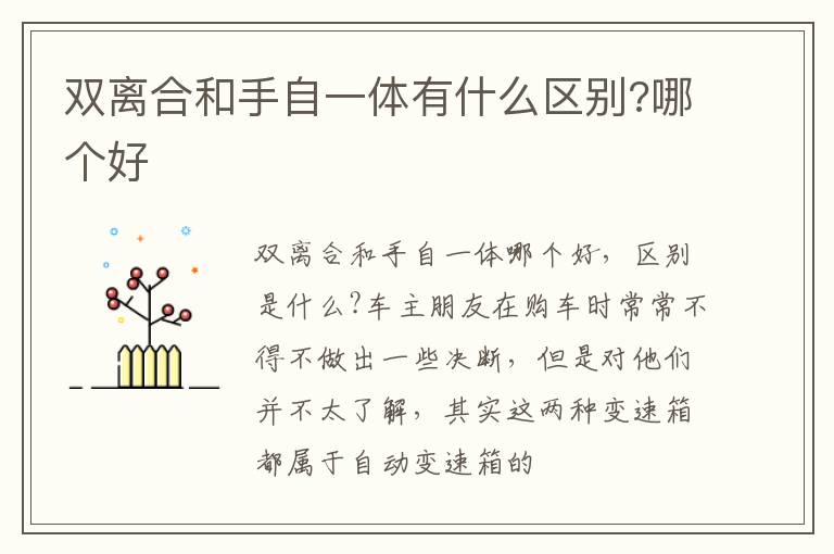 哪个好 双离合和手自一体有什么区别