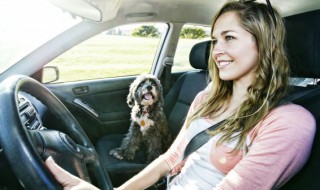 奥迪机油是什么颜色 奥迪怎么看机油颜色