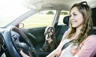 奥迪A4怎么换雨刷 奥迪a4怎样更换雨刷