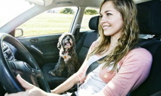 奥迪a6起步有点抖 奥迪a6起步抖怎么回事