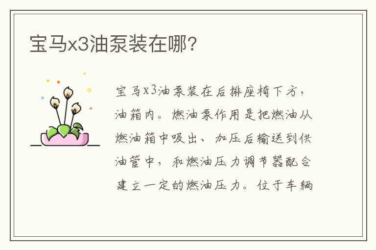 宝马x3油泵装在哪 宝马x3油泵装在哪