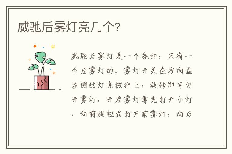 威驰后雾灯亮几个 威驰后雾灯亮几个