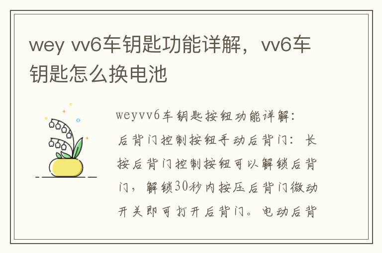 vv6车钥匙功能详解 vv6车钥匙怎么换电池 wey