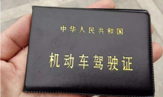 电子驾照的作用 申请电子驾照有什么用