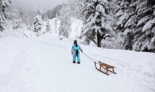 新车用扫把扫了积雪怎么做 新车用扫把扫了积雪