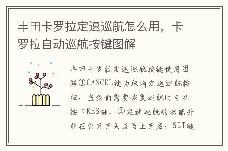 卡罗拉自动巡航按键图解 丰田卡罗拉定速巡航怎么用