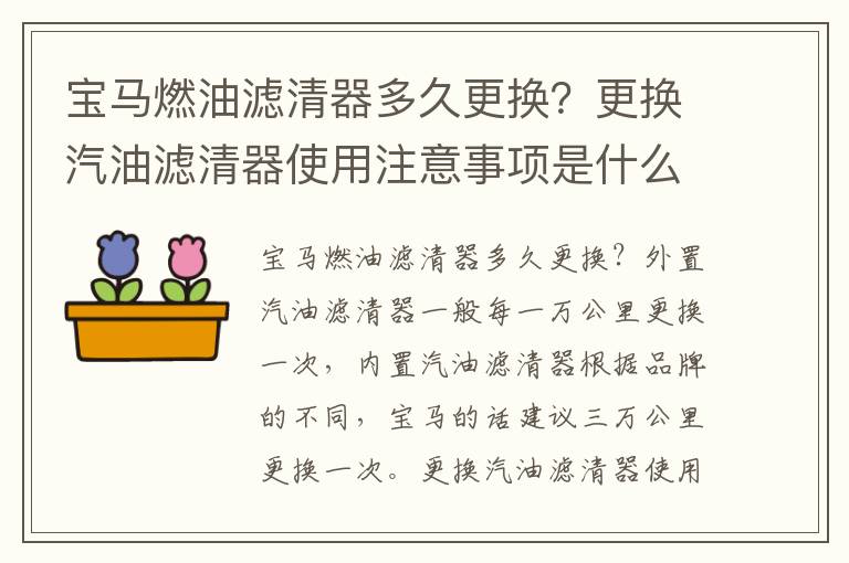 更换汽油滤清器使用注意事项是什么 宝马燃油滤清器多久更换