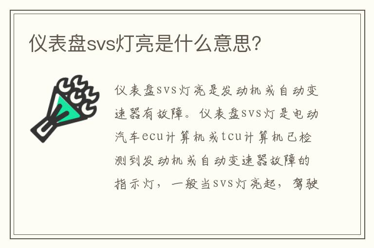 仪表盘svs灯亮是什么意思 仪表盘svs灯亮是什么意思