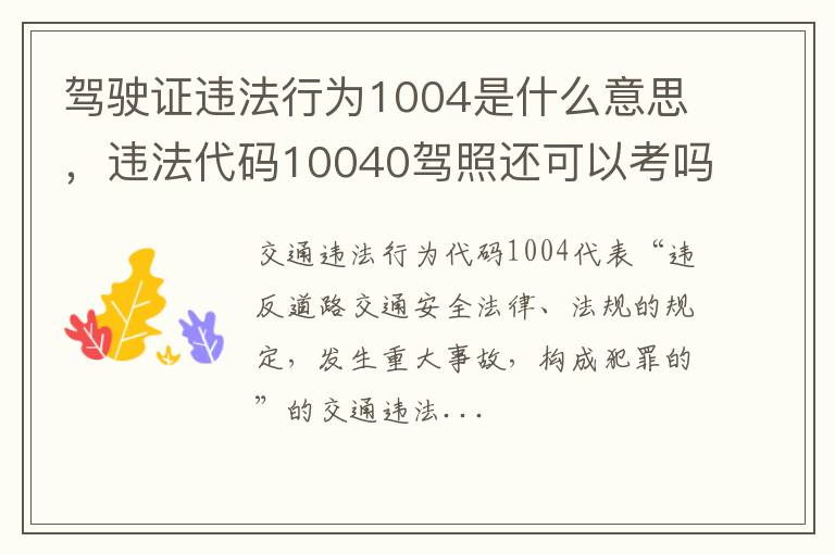 违法代码10040驾照还可以考吗 驾驶证违法行为1004是什么意思