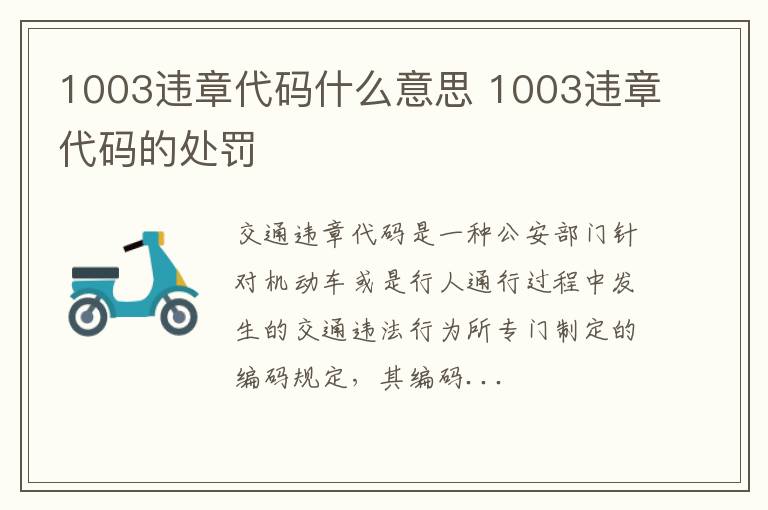 1003违章代码的处罚 1003违章代码什么意思