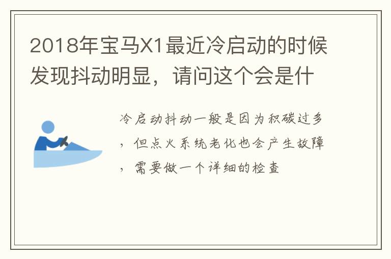 请问这个会是什么问题 2018年宝马X1最近冷启动的时候发现抖动明显