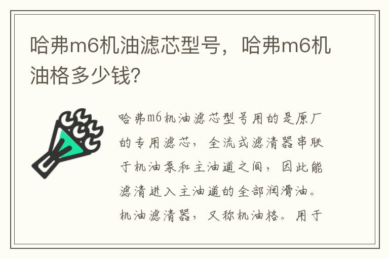 哈弗m6机油格多少钱 哈弗m6机油滤芯型号