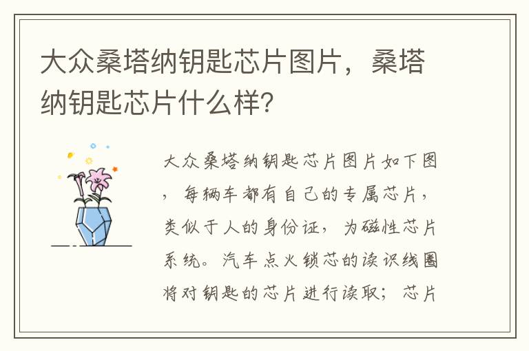 桑塔纳钥匙芯片什么样 大众桑塔纳钥匙芯片图片