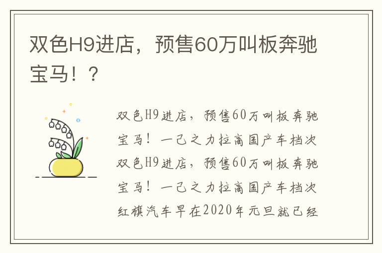 预售60万叫板奔驰宝马！ 双色H9进店