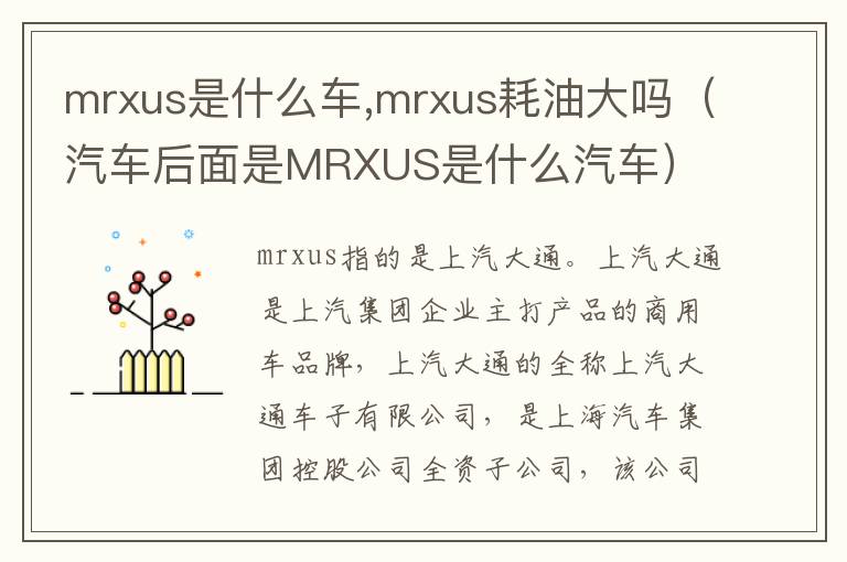 mrxus耗油大吗 汽车后面是MRXUS是什么汽车 mrxus是什么车