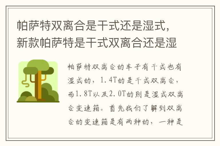 新款帕萨特是干式双离合还是湿式双离合 帕萨特双离合是干式还是湿式