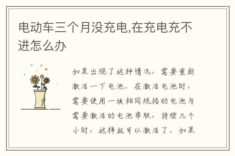 在充电充不进怎么办 电动车三个月没充电