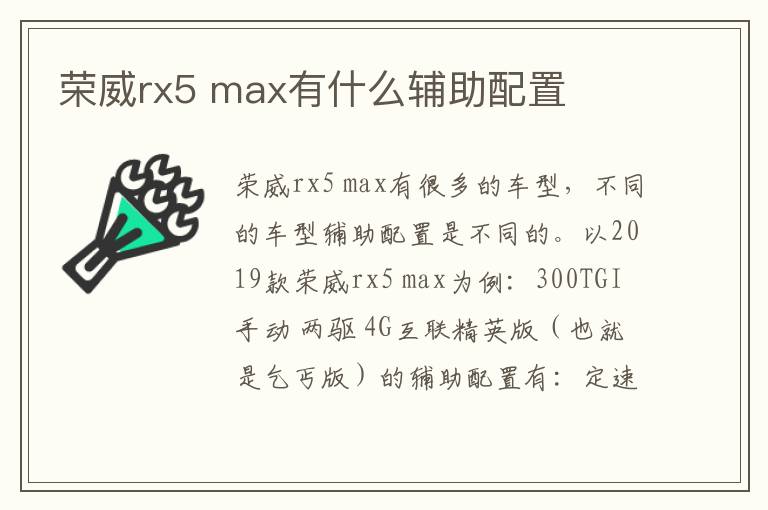 max有什么辅助配置 荣威rx5
