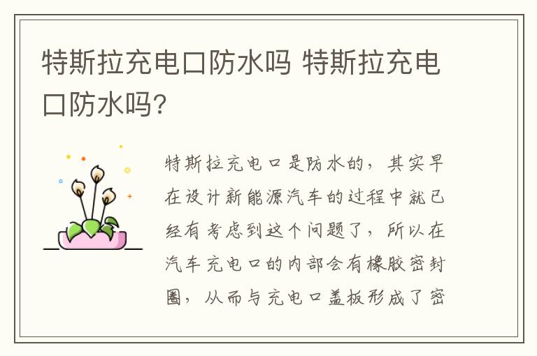 特斯拉充电口防水吗 特斯拉充电口防水吗